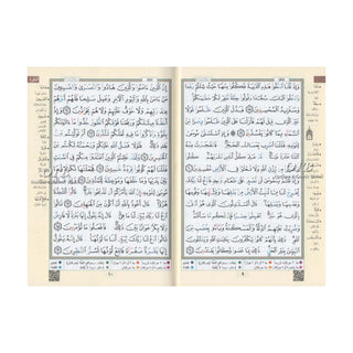 Tajweed Quran in Arabic Language (Deluxe) Medium Size