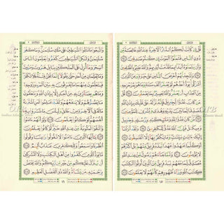 Tajweed Quran in Velvet Cover with Word Meanings & Index