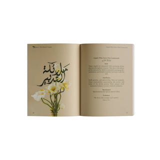 The Book of Angels