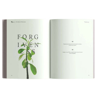 The Book of Motivation by Mufti Menk