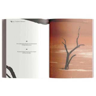 The Book of Motivation by Mufti Menk