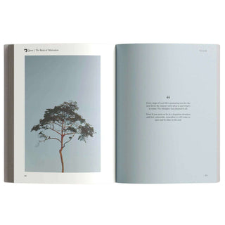 The Book of Motivation by Mufti Menk