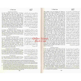 The Clear Quran with Arabic Text (Flexible Cover)