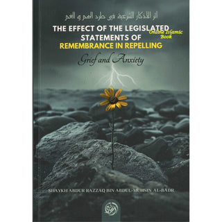 The Effects of the Legislated Statements of Remembrance in Repelling Grief and Anxiety