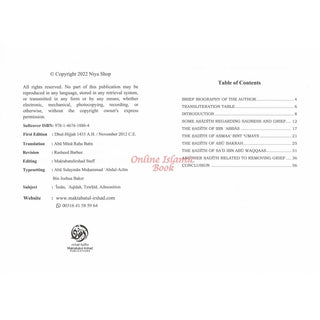 The Effects of the Legislated Statements of Remembrance in Repelling Grief and Anxiety