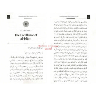 A Commentary on the Treatise: The Excellence of al-Islam, 9798899404870