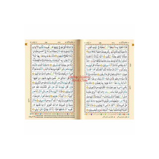 The Holy Quran Tajweed Rules with Colour Coded (Pocket Size) (Persian/Urdu script)