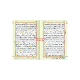 The Holy Quran Tajweed Rules with Colour Coded (Pocket Size) (Persian/Urdu script)