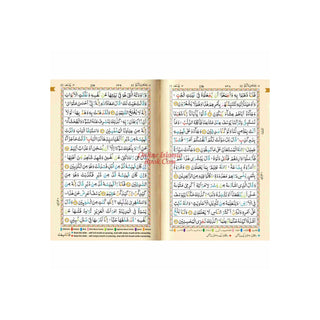 The Holy Quran Tajweed Rules with Colour Coded (Pocket Size) (Persian/Urdu script)