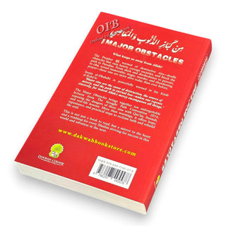 The Major Obstacles by Muizz Anibire,ISBN: 9786297545578