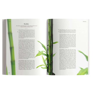 The Message Makkah Edition (A Study of Makkah Surah)
ISBN: 9781399979153