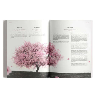 The Message Makkah Edition (A Study of Makkah Surah)
ISBN: 9781399979153