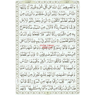 The Quran Arabic Only , 13 Lines Pakistani / Indian/ Persian Script  Cream paper (Size XL,13.5 x 10 x 1.7 Inch) 2010 Edition ,(Ref 111-2010)