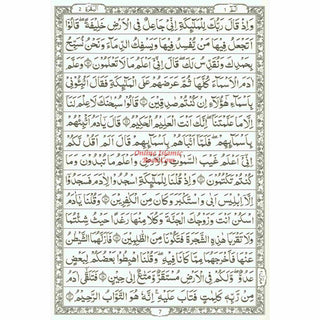 The Quran Arabic Only, 15 Lines Pakistani / Indian/ Persian Script (Size XL, 13.5 x 10 x 1.3 Inch) (Ref 211)