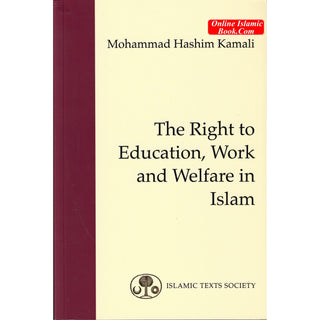 The Right to Education, Work and Welfare in Islam (Fundamental Rights and Liberties in Islam series) By Mohammed Hashim Kamali