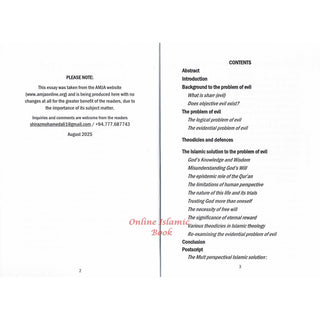 The Problem of Evil by Shaykh Suleiman Hani