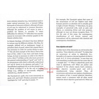 The Problem of Evil by Shaykh Suleiman Hani