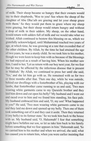The Valley Came Alive  Life of the Last Messenger By Hafiz Ibn Katheer