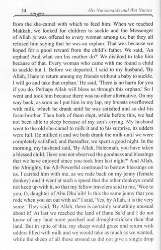 The Valley Came Alive  Life of the Last Messenger By Hafiz Ibn Katheer