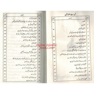 Tuhfat Ul Uroos (Urdu Language) By Mahmood Mehdi Istambuli