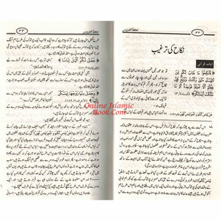 Tuhfat Ul Uroos (Urdu Language) By Mahmood Mehdi Istambuli