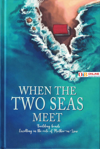 When the Two Seas Meet By Mumtaz Raffi,