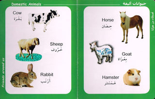 Big Ideas for Little Mind Animal (Arabic/English) 9789953516042