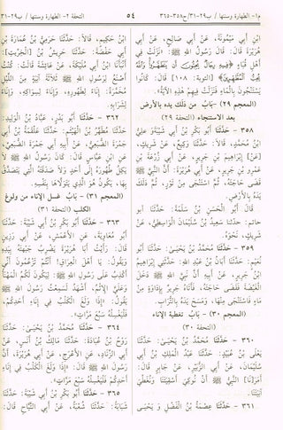 Sunan Ibn Majah (Arabic Only) By Hafiz Muhammad Ibn Majah,